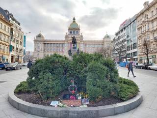 IMG_20240201_122244173_HDR_original