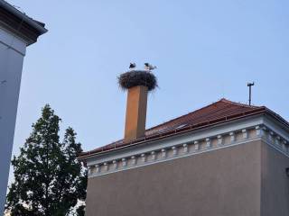 20240629_200714_original