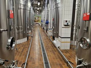 20241112_161702_original