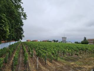 20250706_142119_original