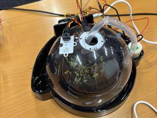 655463320_920942930852667_4247825985502727072_n_original