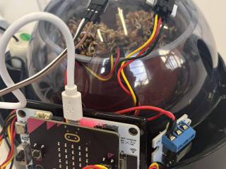 656460374_2005028793732501_7602205553963701007_n_original