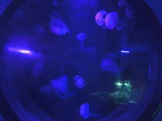 IMG-20260415-WA0013_original