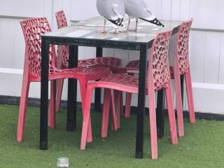 IMG-20260415-WA0015_original