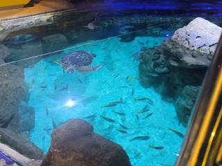 IMG-20260415-WA0021_original